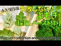 永久保存版!よもぎの見分け方と下ごしらえ Permanent preservation version! How to distinguish wormwood and preparation