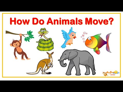 Video: How To Move With Animals