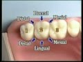 V109: Patient Records Management & Dental Charting