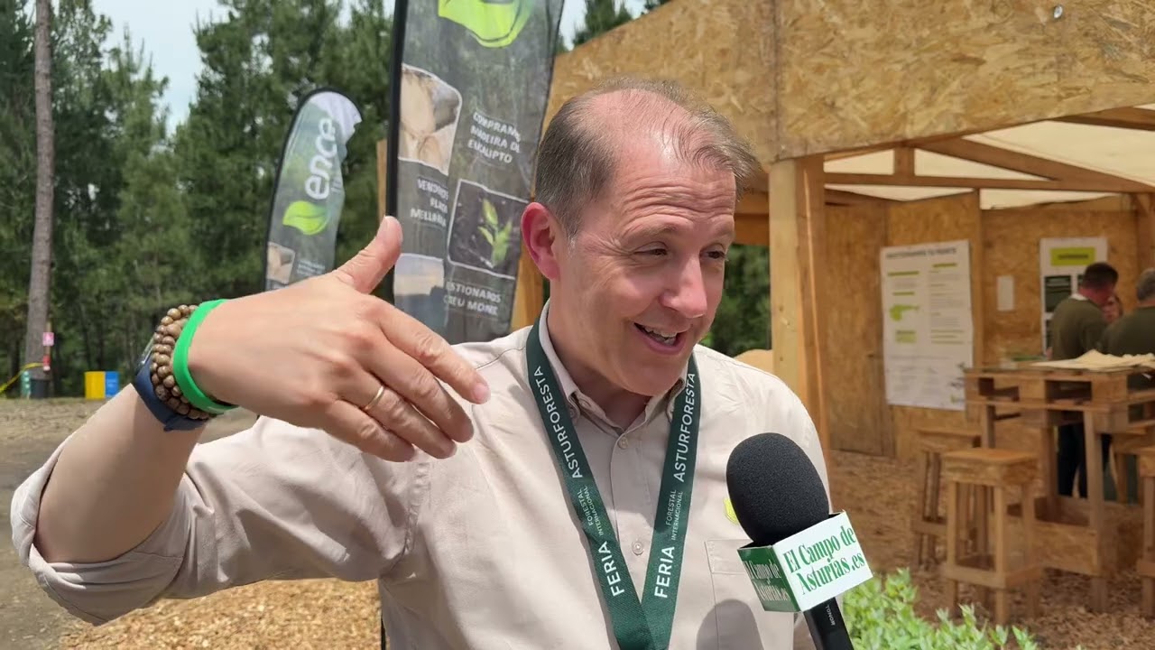 Entrevista a Alejandro Oliveros, director de Ordenación Forestal de 