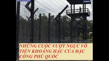 DC28(P5) NHỮNG CUỘC VƯỢT NGỤC VÔ TIỀN KHOÁNG HẬU CỦA ĐẶC CÔNG PHÚ QUỐC/Nhà Lao Cây Dừa (704)
