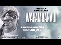MCHINA MWEUSI WAPAMBANAJI Official Audio