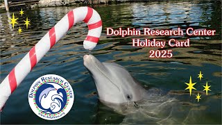 Dolphin Research Center Holiday Card 2025