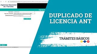 How to Replace a Lost or Stolen Driver's License Online (ANT)