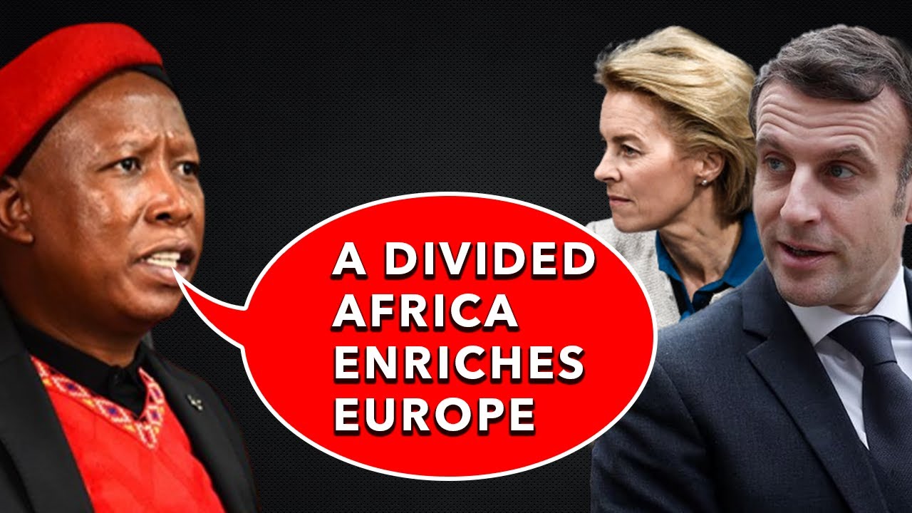 Julius malema "Imagine a United Africa with one Currency based on the Minerals" 