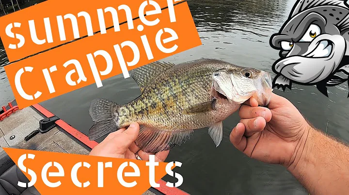 Summer crappie fishing secrets - How to catch crappie with minnows