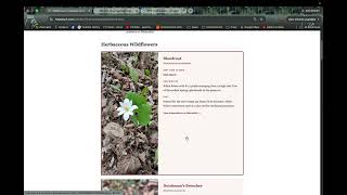 AI Web Rebuild — Anthony Simmons | Final Project Walkthrough