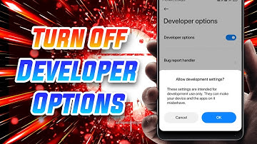 क्या Developers options on करने से phone Damage हो सकता है? Developer Options New Updated Features