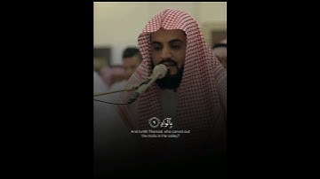 قرآن | رعد الكردي | سورة الفجر