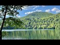 Birds Singing on the Lakeshore and Water Sounds / Relaxing Nature Sounds / Mountain Lake in Italy