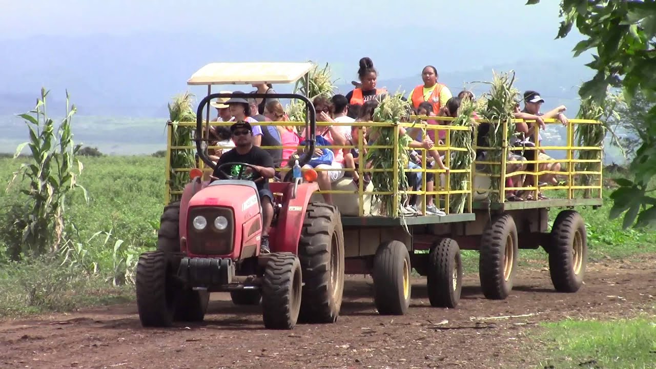 Aloun Farms 2015 Pumpkin Festival YouTube