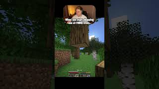 No One Cuts Down These Trees, Right?