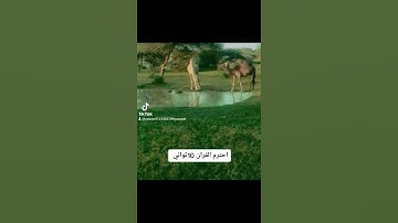 احترم القران الكريم 10ثواني بس من وقتك