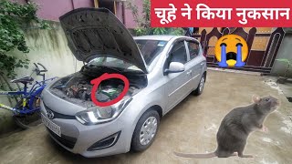 There is a Rat in My Car 🐀😓 | How to Remove Rat From Your Car?