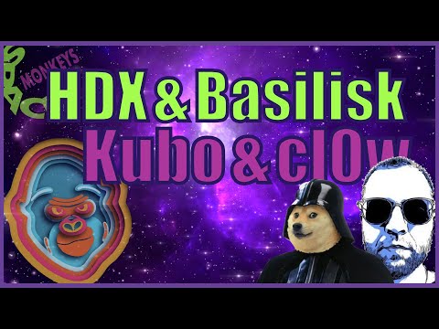 HydraDX आणि Basalisk Parachains - टीमकडून Kubo आणि cl0w सह पकडणे - Space Monkeys - 036