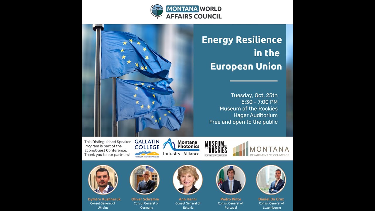 Energy Resilience in the EU - Bozeman