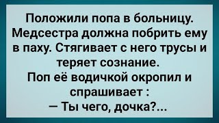 Поп с Большим Хозяйством в Больнице! Сборник Свежих Анекдотов! Юмор!