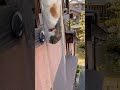 OMG // Be careful #automobile cẩn thận#funny