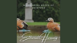 Melodic Path to Inner Peace