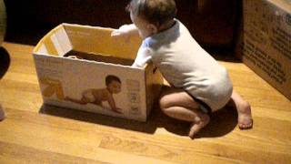 Ball in the box.AVI