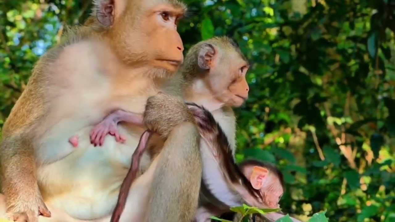 Mom brings happiness every day