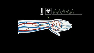 Optical Heart rate monitors, How they work in 60 seconds!