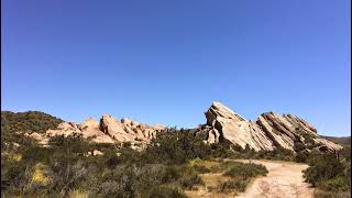 Comedy Show Live Stream