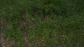 Drainage destroying Billings homes