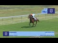 Lot 78A - UNNAMED - SOQRAT (AUS) x CAPULETTE - 22 October 2023