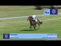 Lot 78A - UNNAMED - SOQRAT (AUS) x CAPULETTE - 22 October 2023