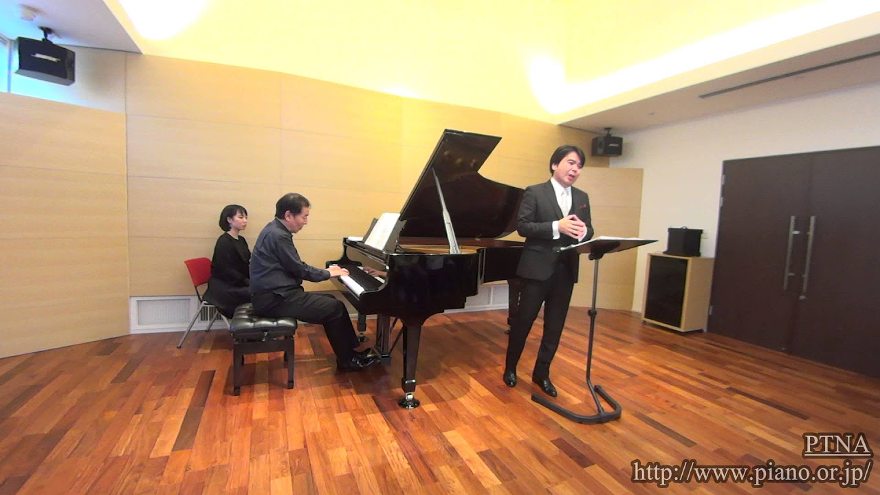 自主制作　フィルハーモニア・フンガリカ　バルシャイ、メニューイン　シューベルト 自主制作 フィルハーモニア・フンガリカ バルシャイ、メニュー