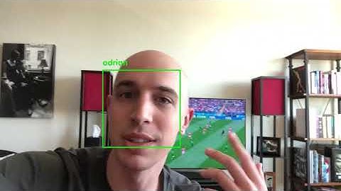 Face Recognition with OpenCV, Python, and Deep Learning (Demo #1)