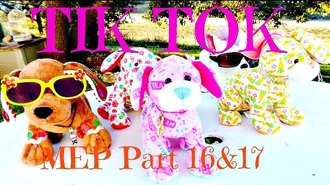 Tik Tok MEP Part 16&17 for BuddyKinz