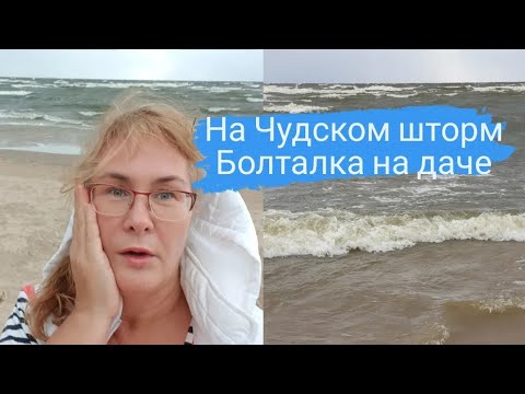 Дачный влог.Эстония.Чудское озеро