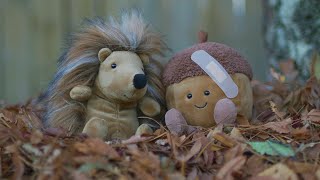 Jellycat Short Film: Chester & Didi