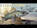 Весна Джиг Белоярка. Рыбалка на спиннинг