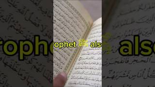 Seek Arabic knowledge https://selar.com/z6w2215s78]#LearnArabic #Islam #Quran