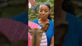 friendly animals#jesus #trendingView