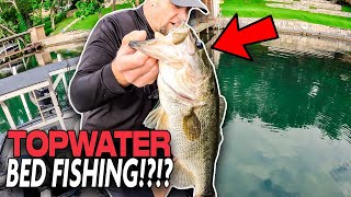Bed Fishing for Bass with Topwater?!?!