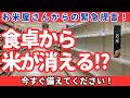 【米屋からの緊急提言】日本の食卓からお米が消えるかもしれない!?今すぐすべきこととは?