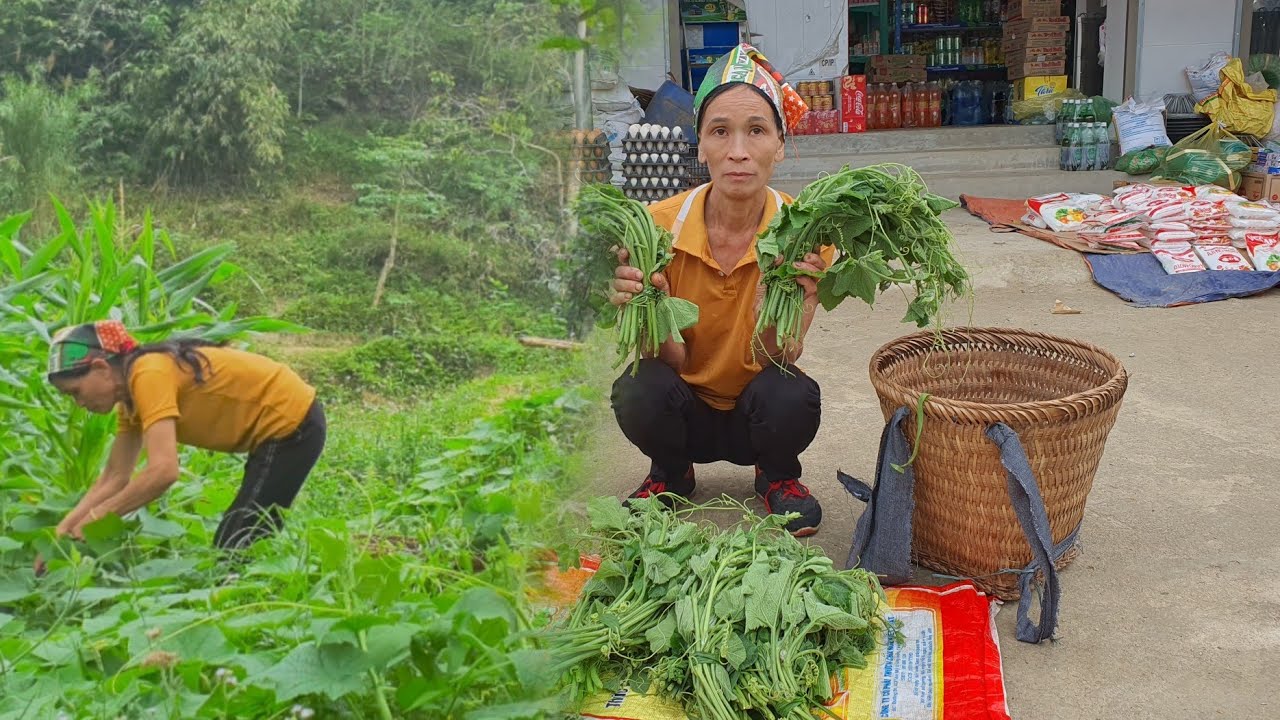 The single mother picked vegetables and squash to sell at the market ...