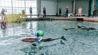 Four Rough-Toothed Dolphins Welcomed at Clearwater Marine Aquarium