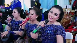 Download lagu mingkar mingkur Ing ukoro - Caping Gunung CAMPURSARI SEMAR MULYO