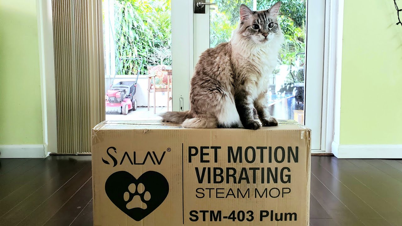 Salav Pet Motion Vibrating Steam Mop Review! 