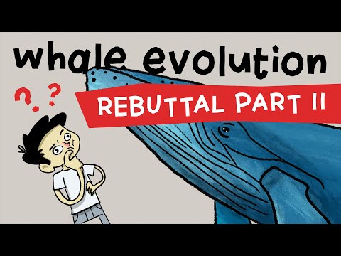 Whale Evolution: A Further Rebuttal