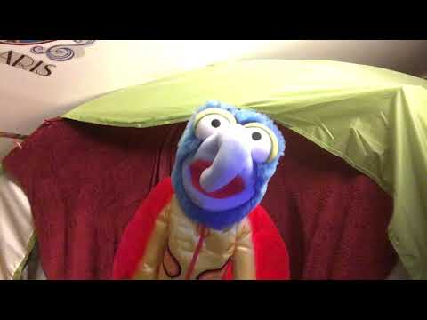 Gonzo Sings Beautifu