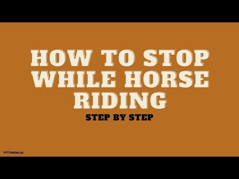 How To Stop While Horse Riding