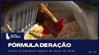 Ração CASEIRA para Galinhas para economizar MUITO: Conheça a FÓRMULA | EP 19