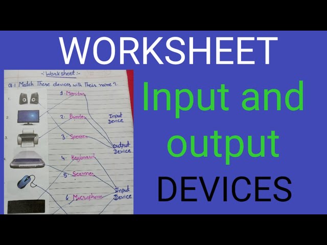 Input Devices Worksheet