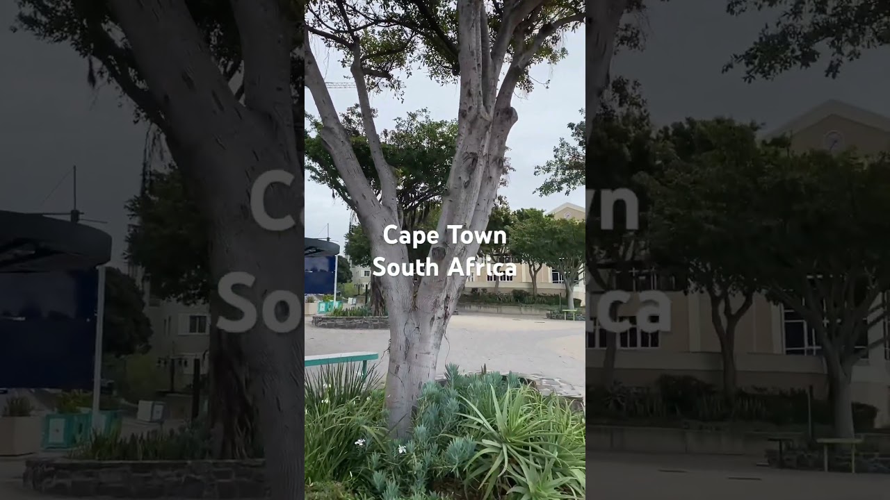 ❤️Earnest & Young Auditing Firm Cape Town 